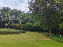 -龙头寺公园