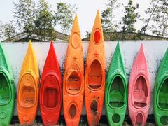 -上海海湾国家森林公园