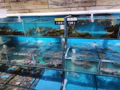 水产区-蟹谢蒸鲜自助餐厅