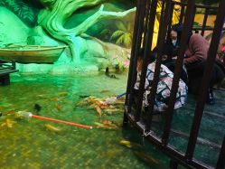 -酷嗒动物文化乐园(cutezoo西溪乐天城店)