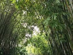 -晓港公园