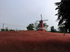 -羊亭河湿地公园