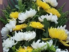 -沪花拾者(好再来花卉鲜花店)