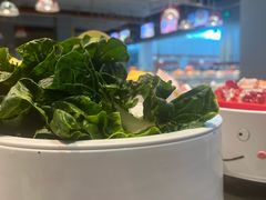 -龍歌自助小火锅(李沧顺和汇店)