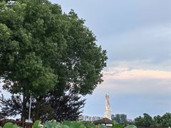 -荷塘月色湿地公园·向阳花洲