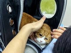 -美联众合动物医院·24h转诊中心