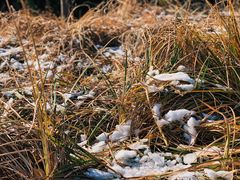 -北京西山国家森林公园