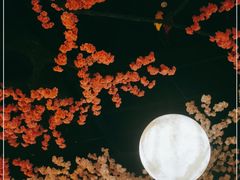 -蓝鲸湾汤泉(包河店)