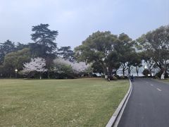 -浙江西子宾馆·牡丹厅