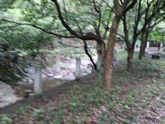 -宁波五龙潭景区