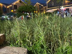 -晶渔坊·海鲜私房菜(东夷小镇店)