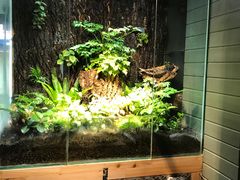 -有才叔的小馆(招商依云曲江店)