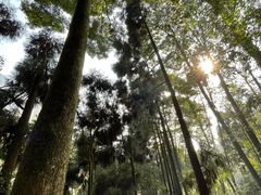 -青城山