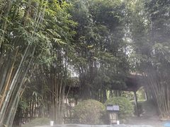 -崇阳三特浪口温泉
