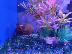 -海合安青岛极地海洋公园