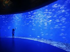 -哈尔滨波塞冬海底世界