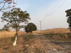 -梁鸿国家湿地公园