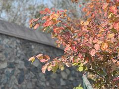 -香山公园