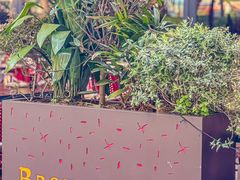 -BROWNSTONE布朗石西班牙餐厅(富城店)