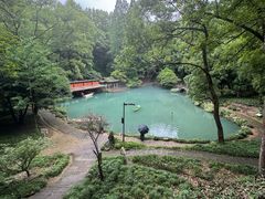 -灵栖洞天