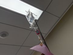 -广州中医药大学深圳医院(福田)