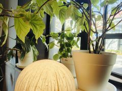 -一尺花园(安和花园店)