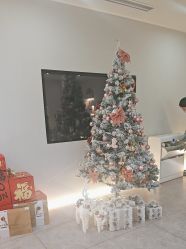 -VE专注问题肌·赛诺龙&科学美肤中心