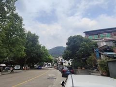 -春娟茶楼·地道农家菜(梅家坞店)