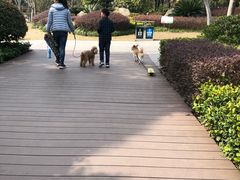 -南翔镇银翔湖公园