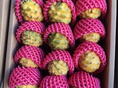 -鸿港海鲜批发市场