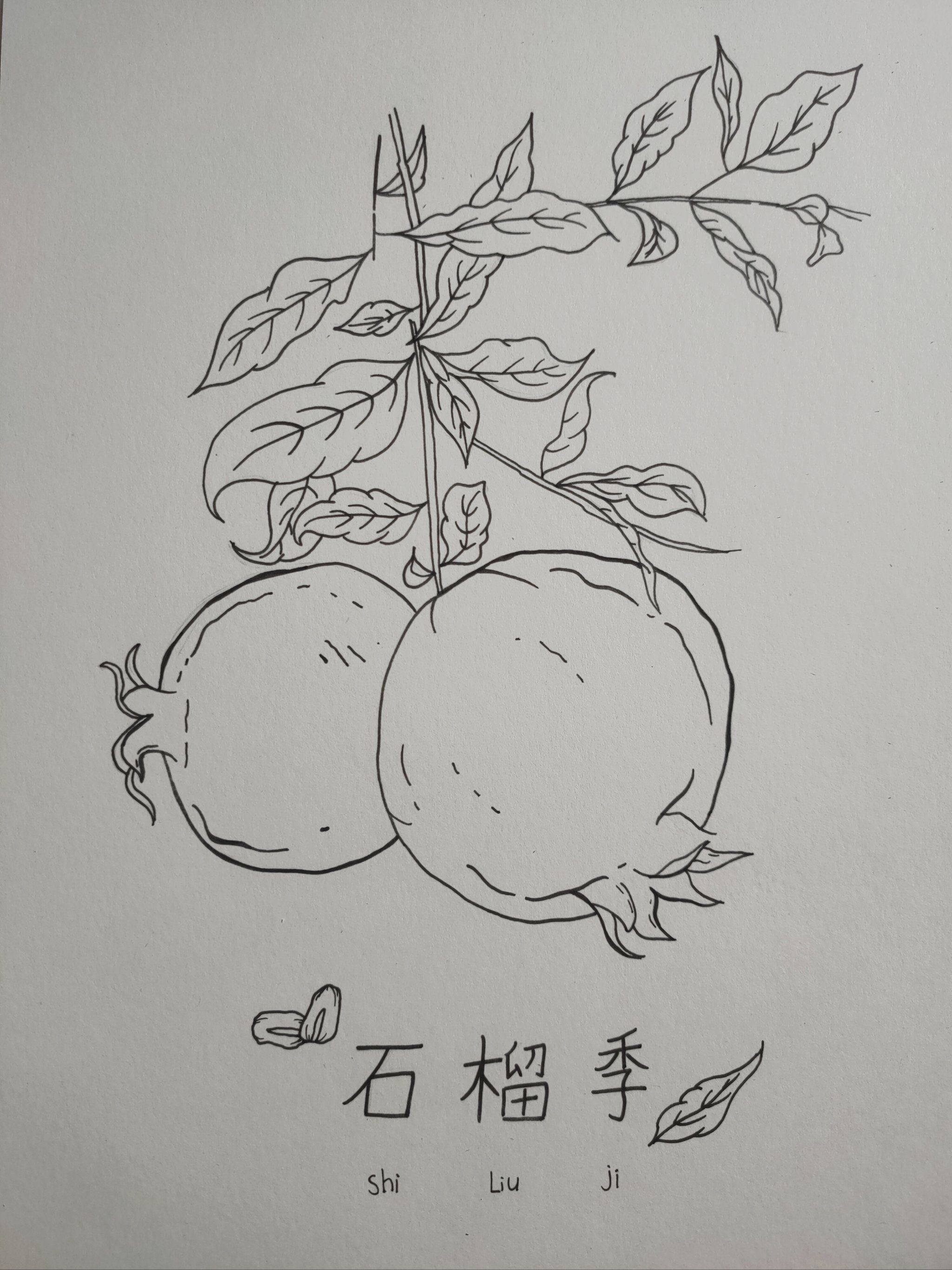 我的随手画