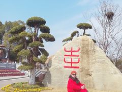 -武汉紫薇都市田园