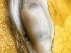 生蚝88蚊一哒-蚝专家(北滘店)
