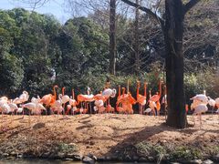 -上海野生动物园