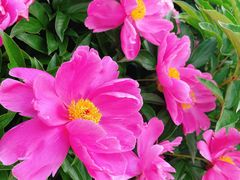 -长春公园(普阳街道)