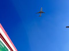 -金三角花鸟鱼综合市场-地面停车场