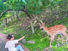 -大连森林动物园