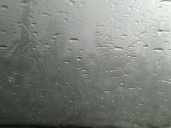 -武清南湖绿博园