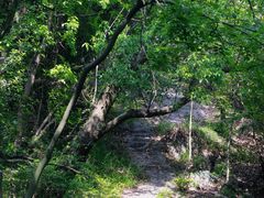 -宁波市保国寺古建筑博物馆