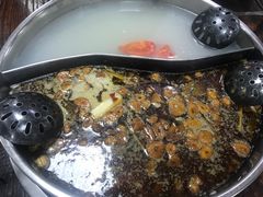 -肥婆麻辣火锅.顺德首创药材麻辣火锅(容桂店)
