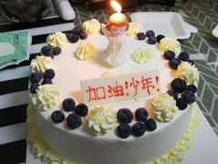 -维尔纳斯·生日蛋糕动物奶油冰淇淋蛋糕(人大店)