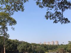 -东莞植物园