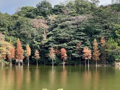 -广州市石门国家森林公园