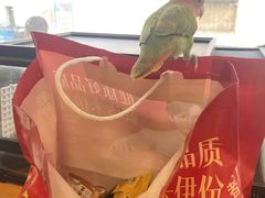 -吉丁鸟咖·异宠·寄养