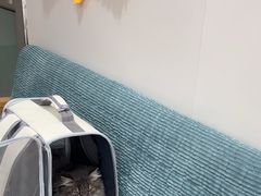 -佳雯宠物医院·皮肤科·内外科(春晓路分院)