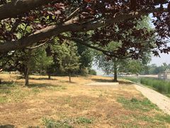 -北运河水利风景区