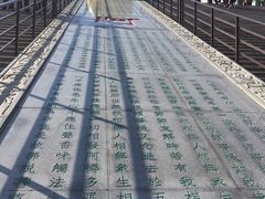 -龙口南山旅游景区