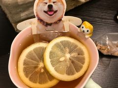 柠檬红茶-逗柴咖啡屋·狗咖猫咖宠物桌游