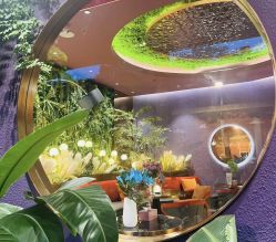 -花隐·美芙炫海菲秀皮肤管理中心