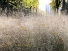 -苏州河梦清园环保主题公园